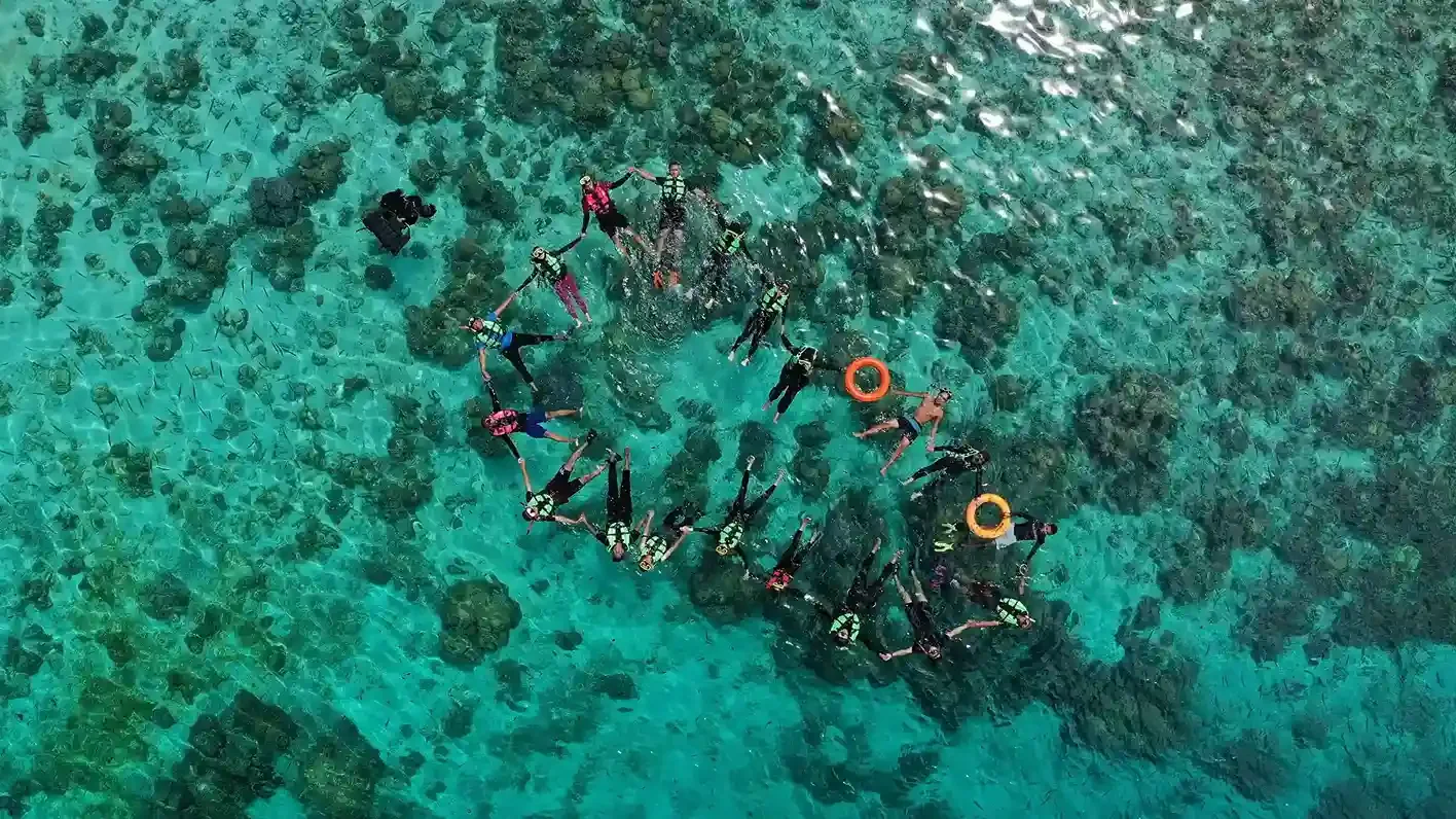 An aerial view of a group snorkelling together over shallow coral